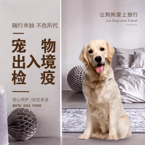 怒江州宠物托运到哥伦比亚猫狗宠物入境规定和