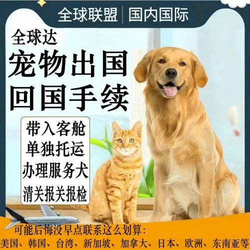 怒江州宠物托运到柬埔寨宠物入境规定和要求