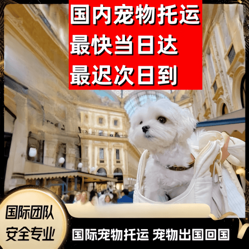 怒江州到澳大利亚（澳洲）宠物入境规定和要求